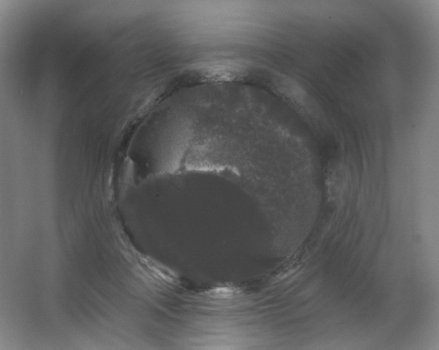 X0000064720314200602101131