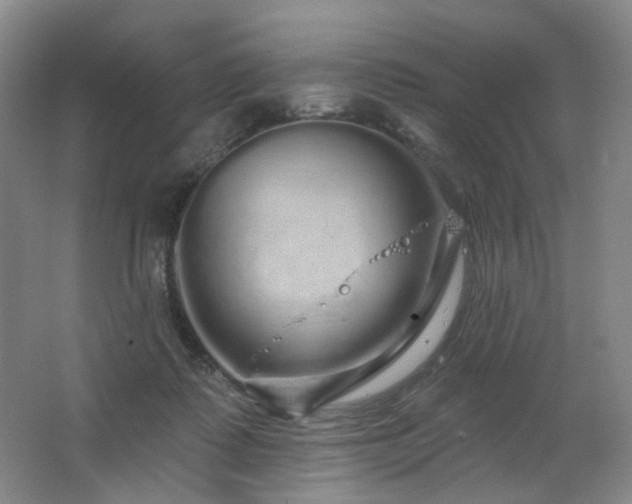 X0000064720315200602101131