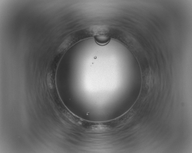 X0000064720316200602101131