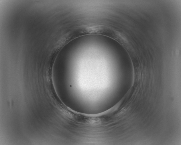 X0000064720317200602101130