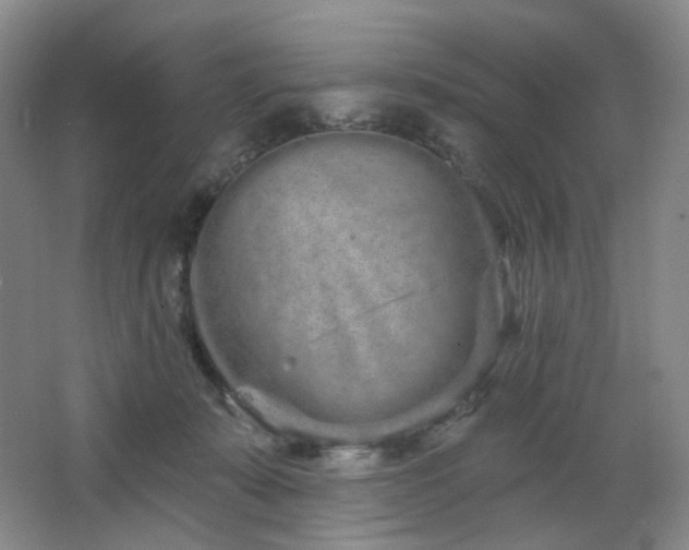 X0000064720319200602101130