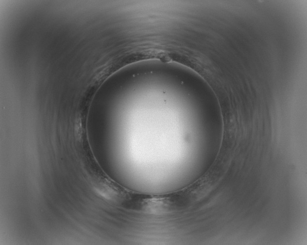 X0000064720320200602101130