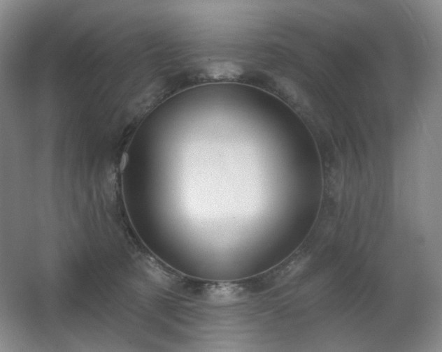 X0000064720321200602101130