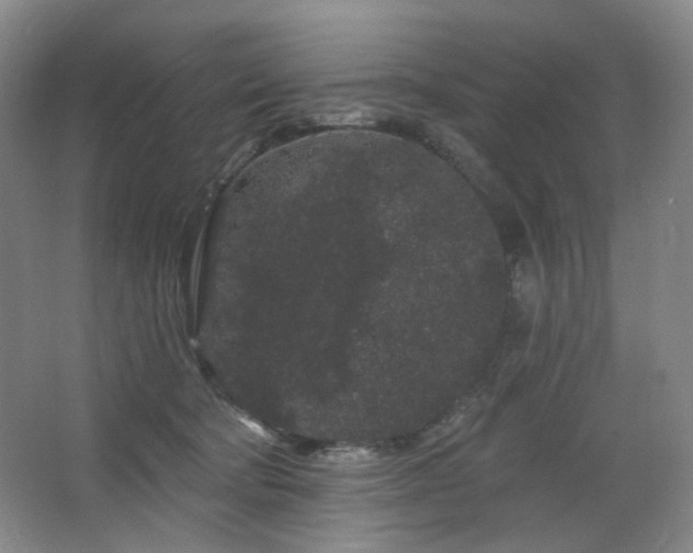 X0000064720322200602101130