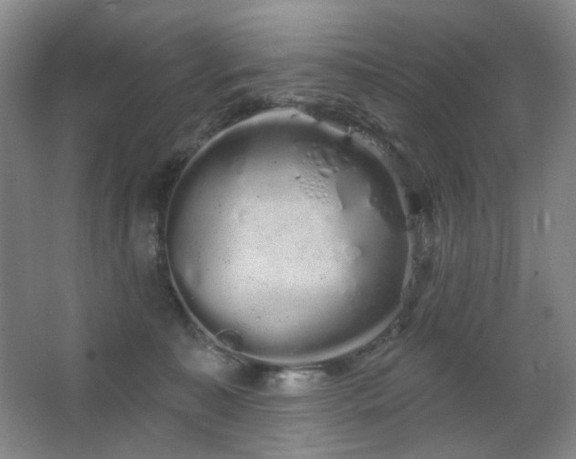 X0000064720323200602101130