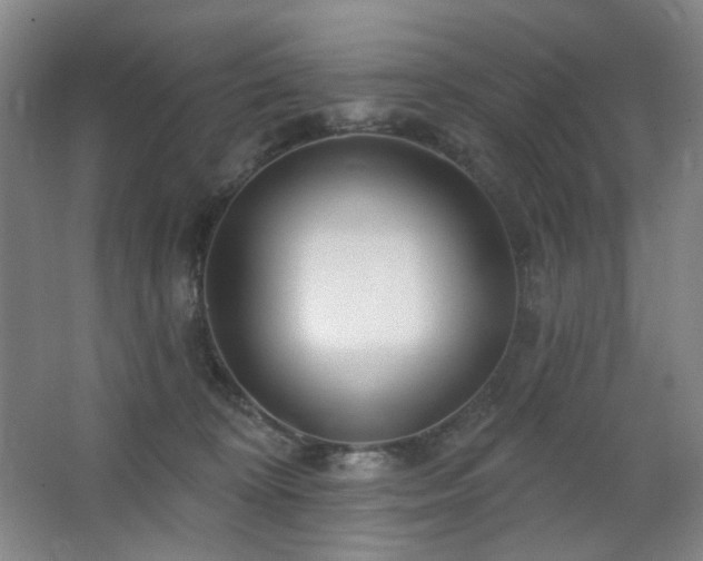 X0000064720324200602101130