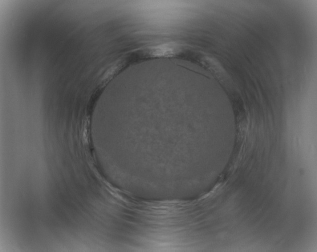 X0000064720325200602101130