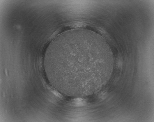 X0000064720326200602101130