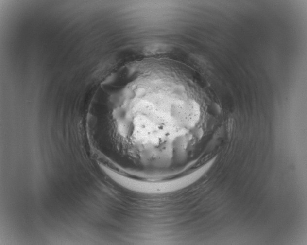 X0000064720327200602101130