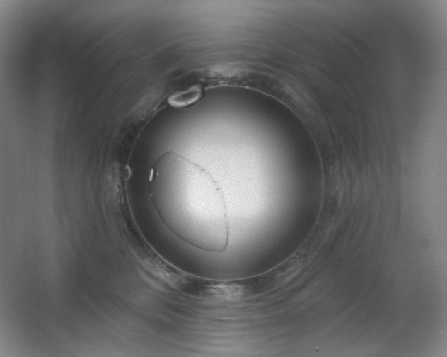 X0000064720328200602101130