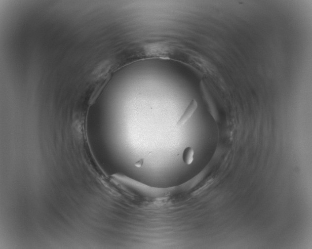 X0000064720329200602101130