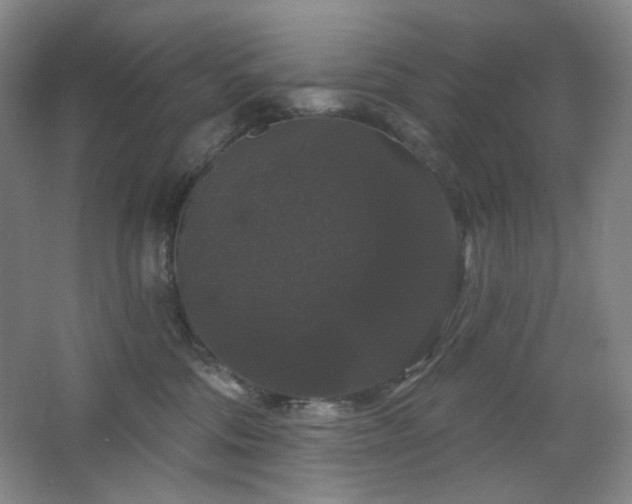 X0000064720330200602101130