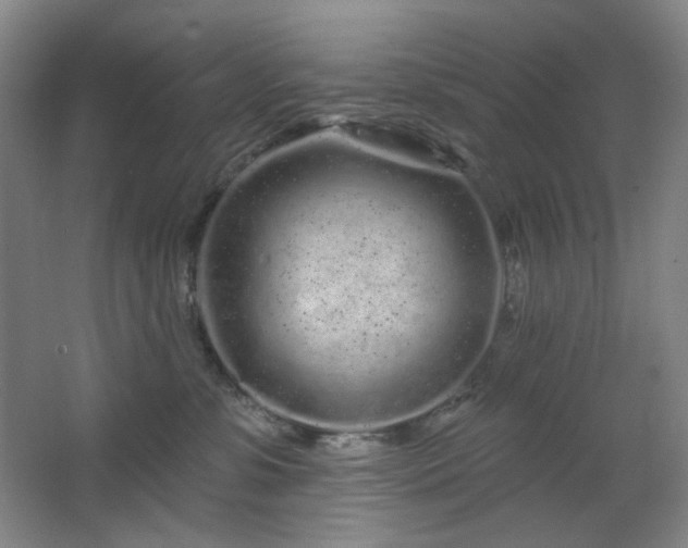 X0000064720331200602101130