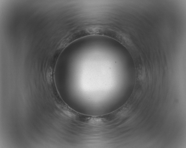 X0000064720332200602101130