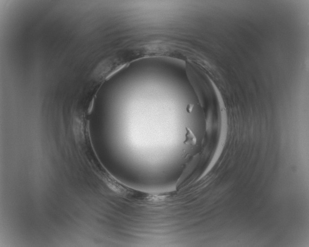 X0000064720333200602101130