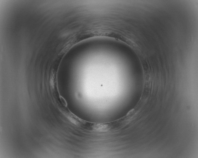 X0000064720334200602101130