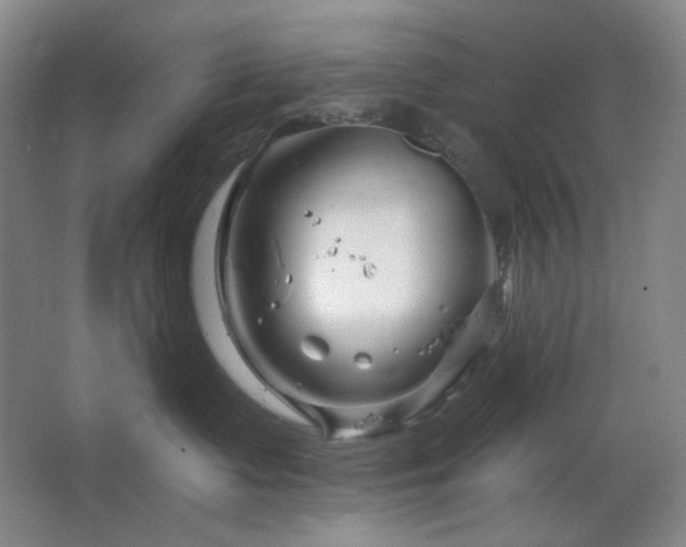 X0000064720335200602101130