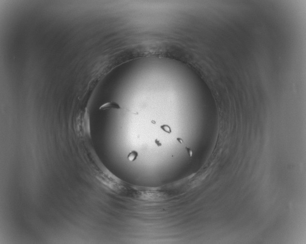 X0000064720336200602101130