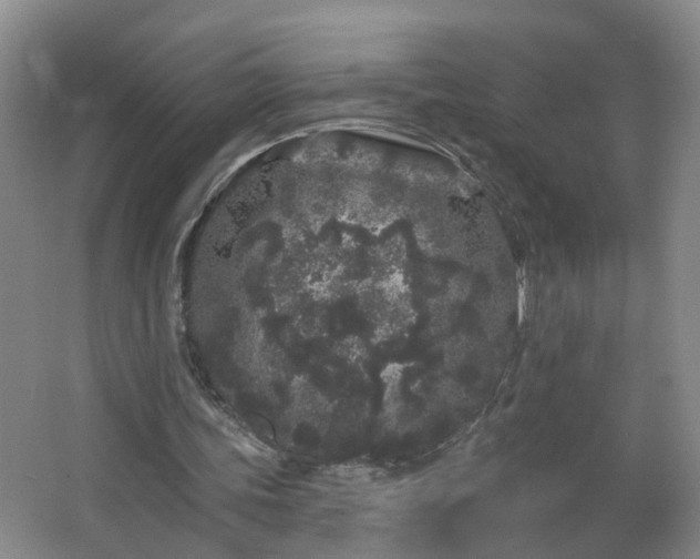 X0000064720339200602101129