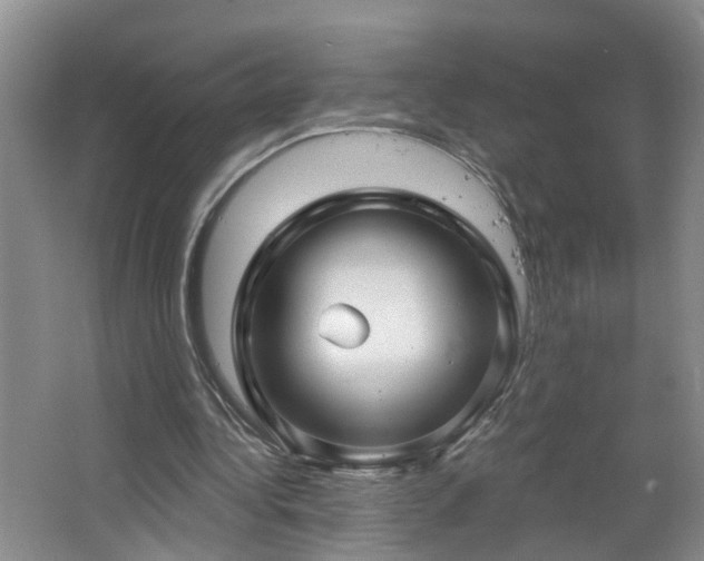 X0000064720340200602101129