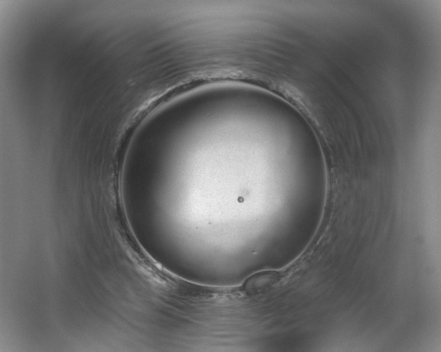 X0000064720345200602101130