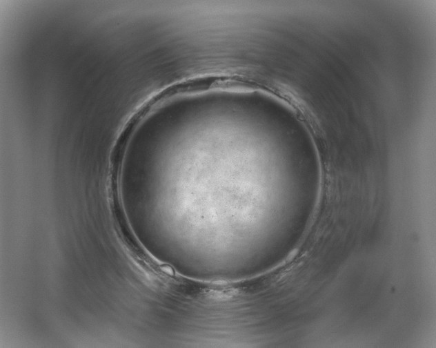 X0000064720346200602101130