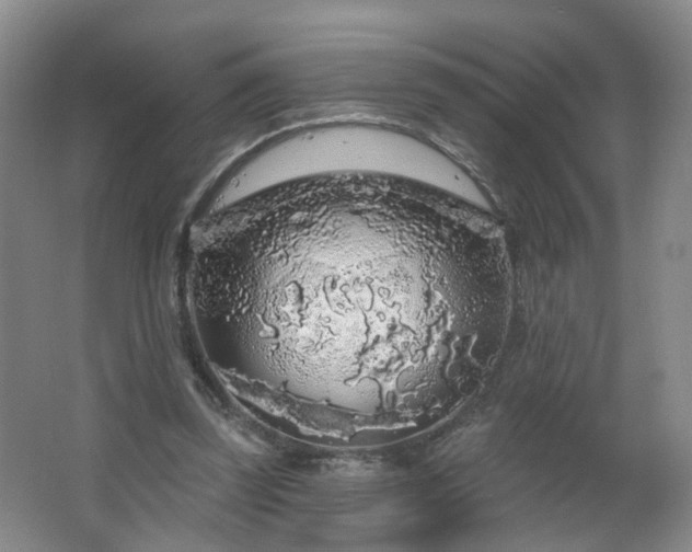 X0000064720347200602101130