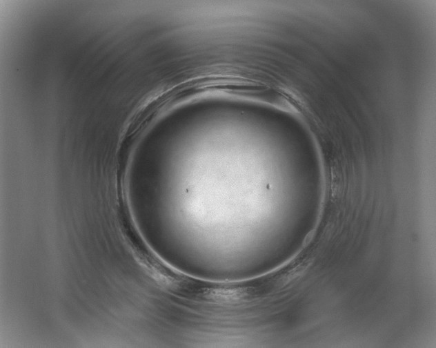 X0000064720349200602101130