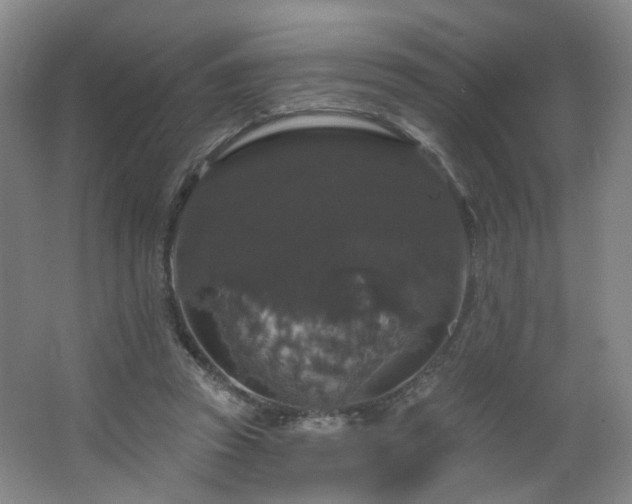 X0000064720353200602101130