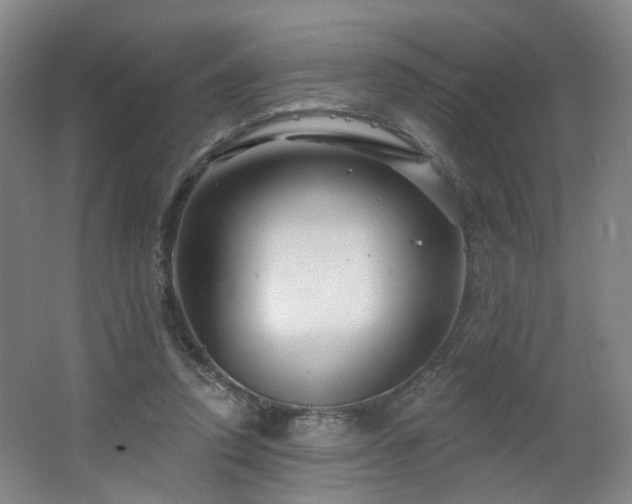 X0000064720354200602101130