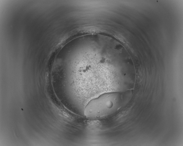 X0000064720355200602101130