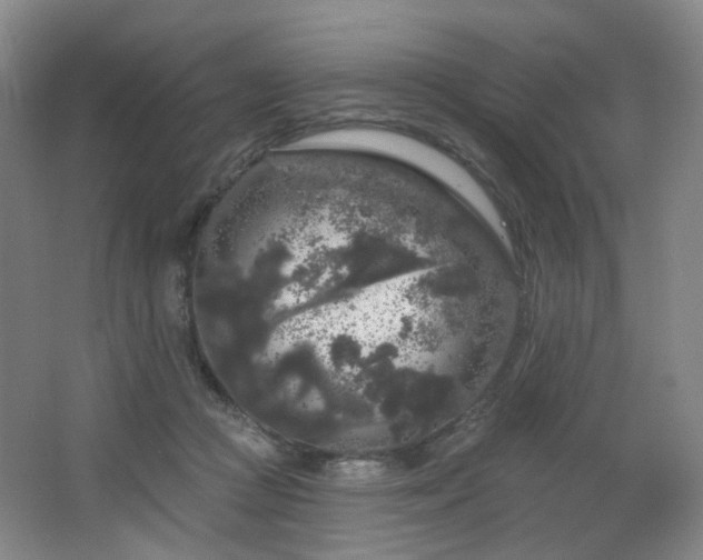 X0000064720361200602101130