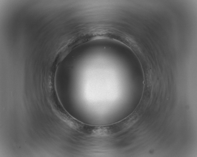 X0000064720362200602101130