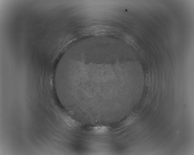 X0000064720363200602101130