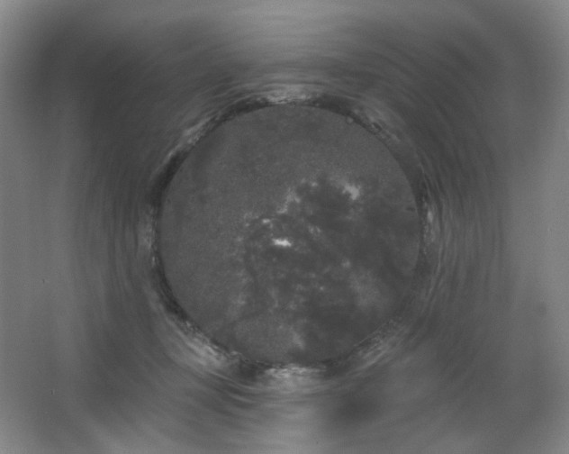 X0000064720367200602101130