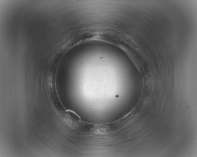 X0000064720368200602101130