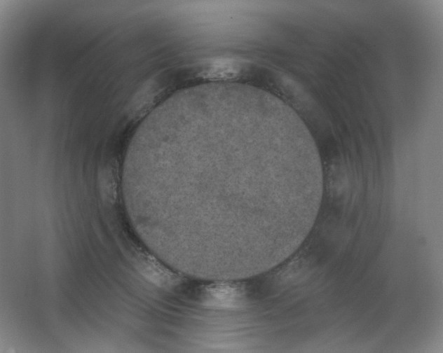 X0000064720370200602101130