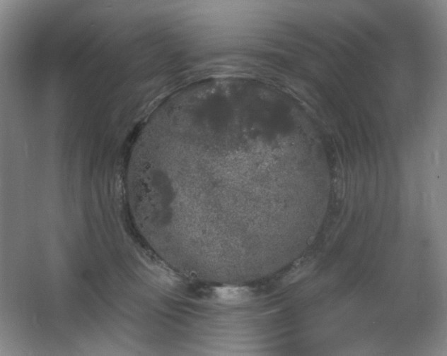 X0000064720371200602101130