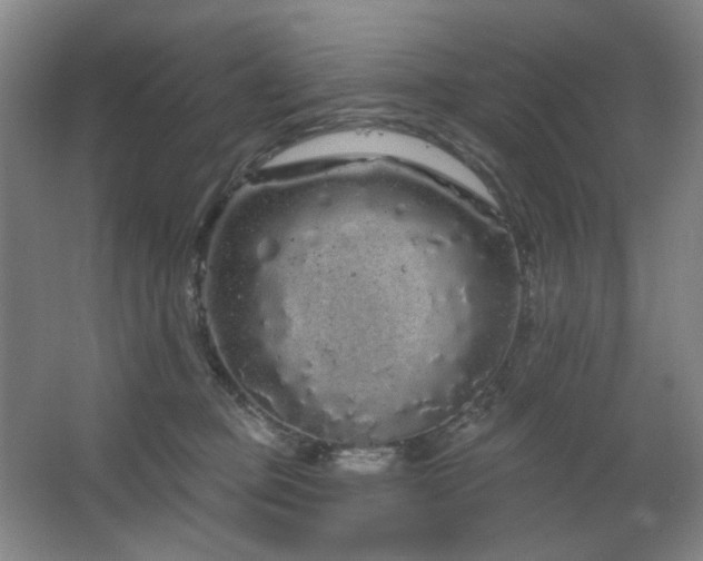 X0000064720373200602101130