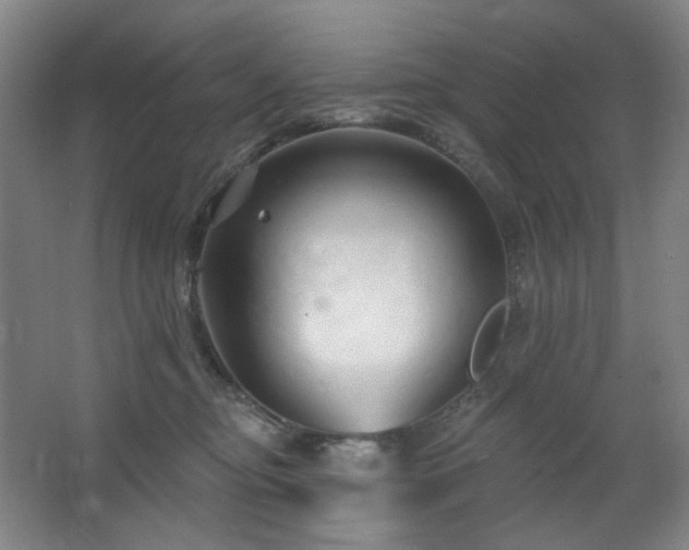 X0000064720374200602101130