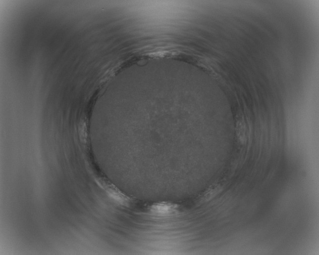 X0000064720375200602101130