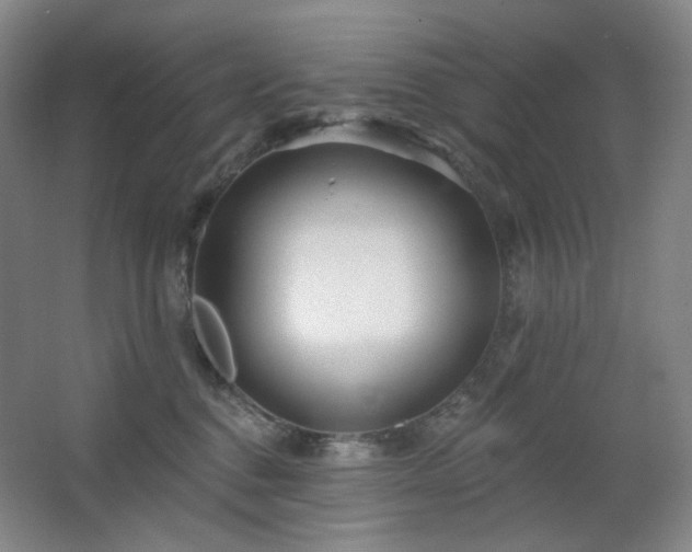 X0000064720376200602101130