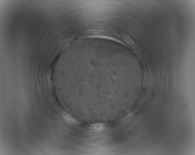 X0000064720377200602101130