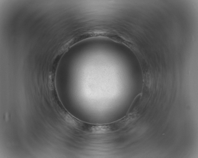 X0000064720378200602101130