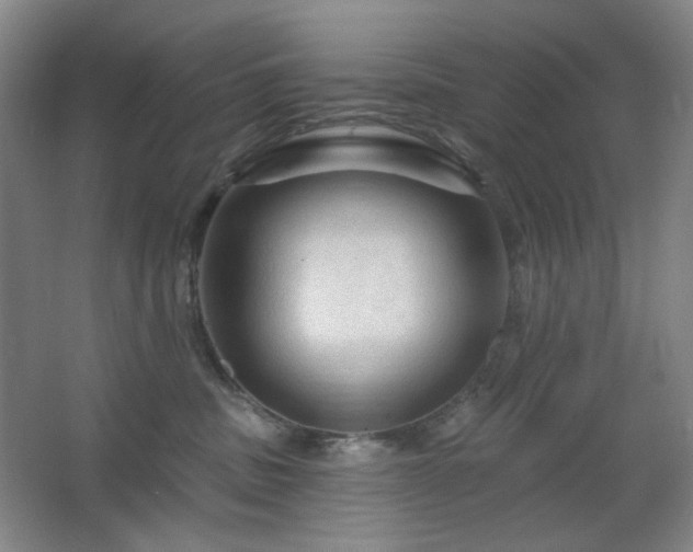 X0000064720379200602101130