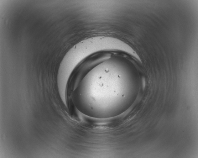 X0000064720380200602101130