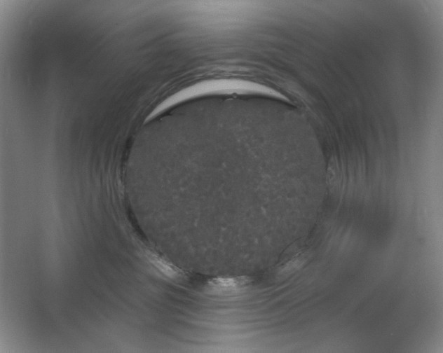 X0000064720381200602101130