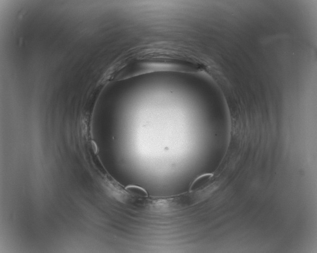 X0000064720382200602101130