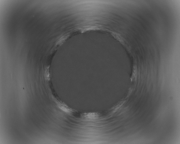 X0000064720383200602101130