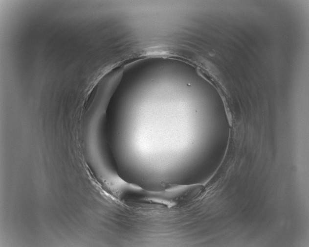 X0000064720385200602101129